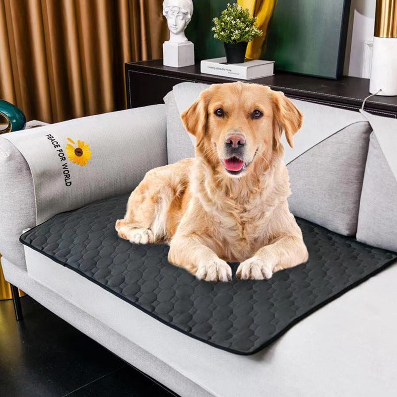 Waterproof Dog Mat