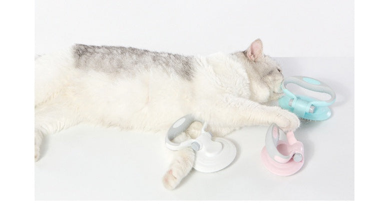 Self Cleaning Wire Brush