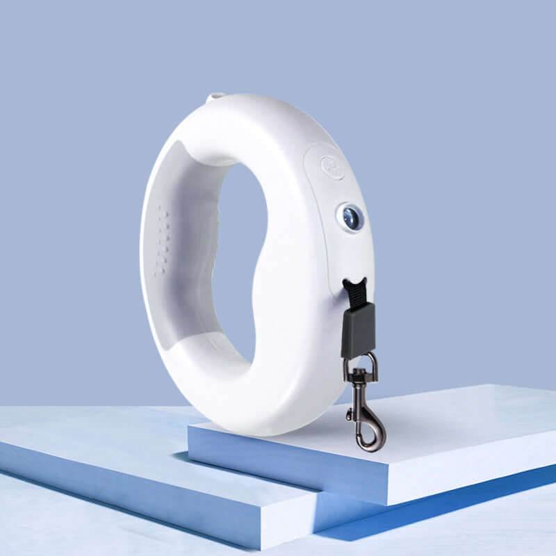 Pet Leash