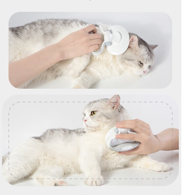 Self Cleaning Wire Brush