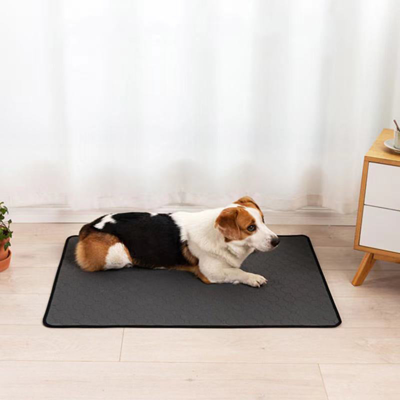 Waterproof Dog Mat