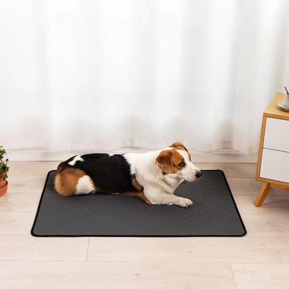 Waterproof Dog Mat