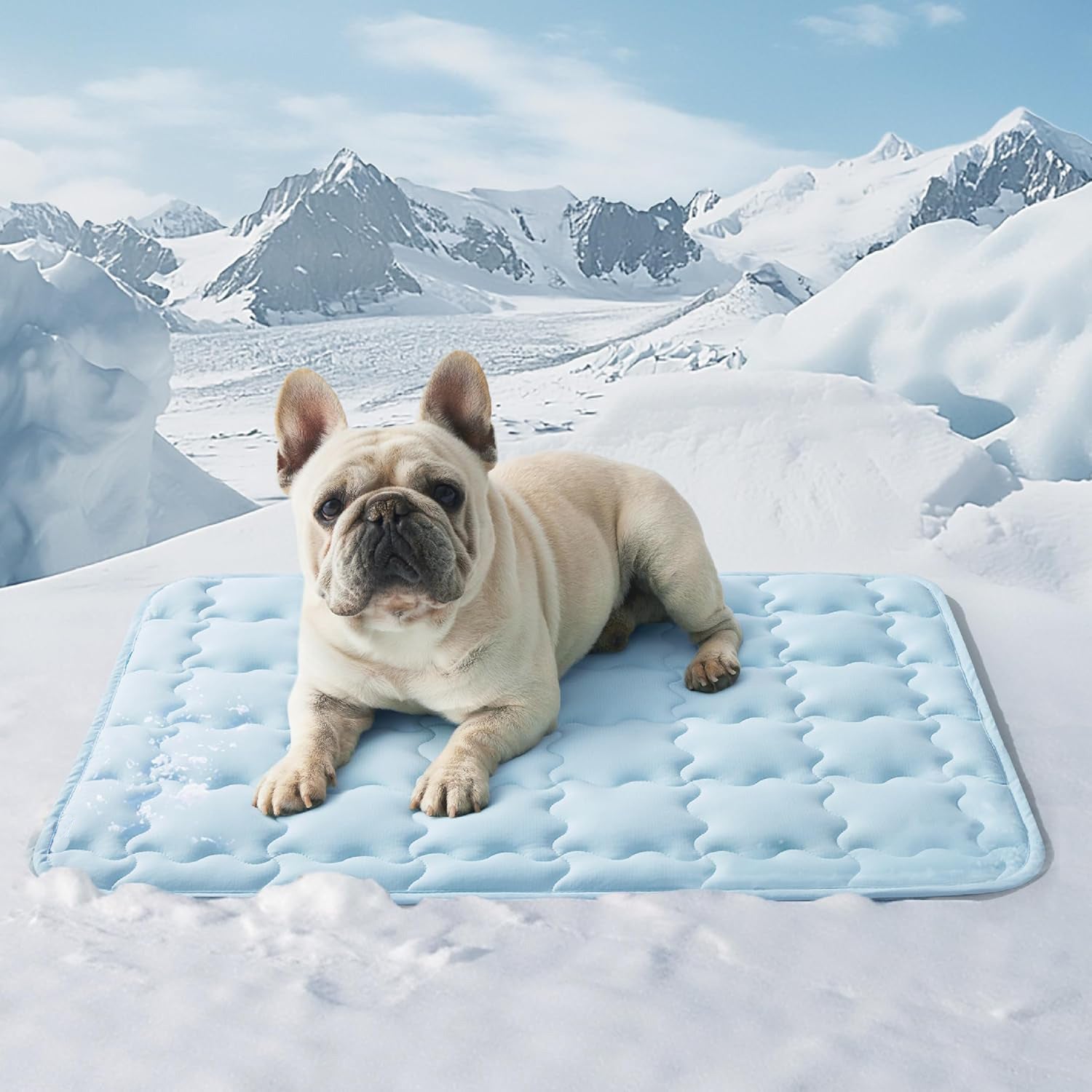 Cooling Pet Ice Mat