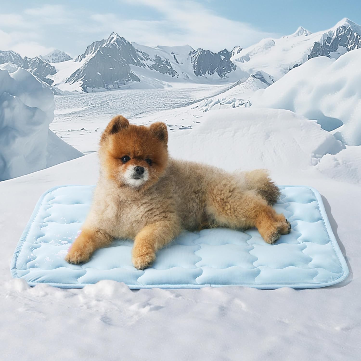 Cooling Pet Ice Mat