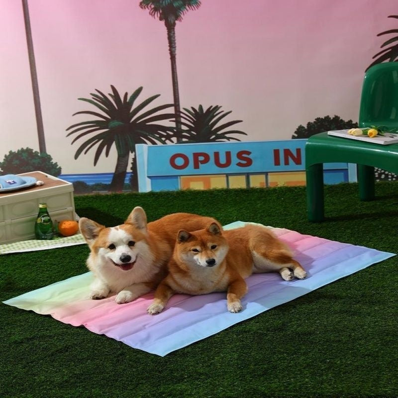 Pet Ice Mat